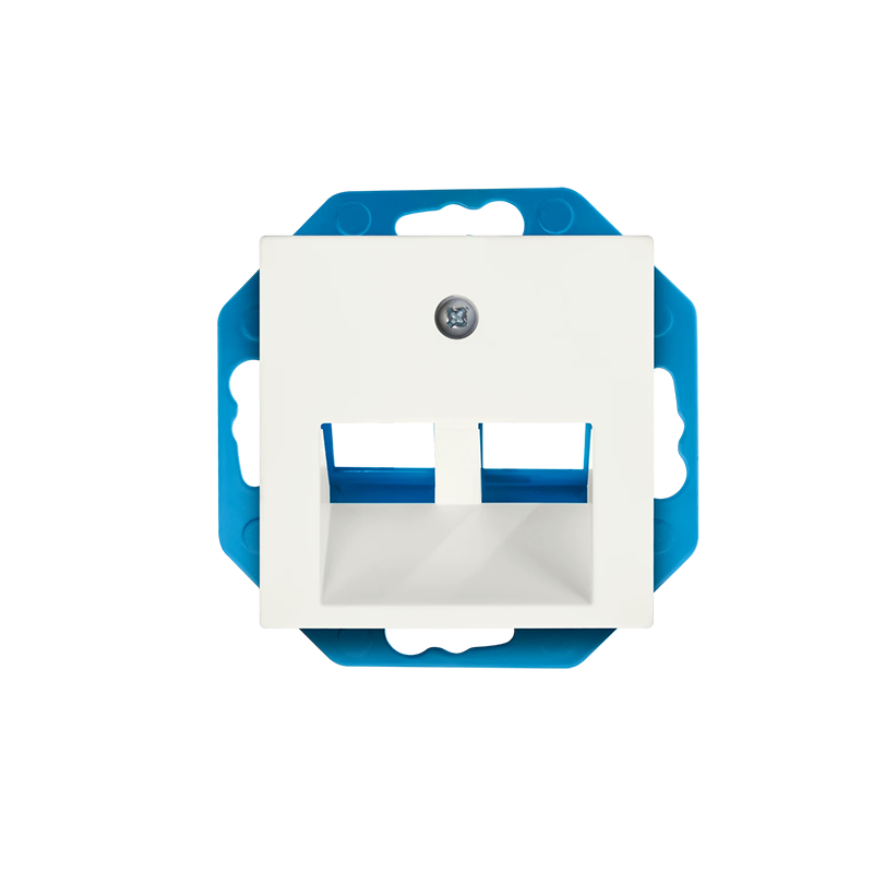 ION Industries | Modular Jack 30° 2-voudig met Centraalplaat V1/J1 Mat Alpin Wit